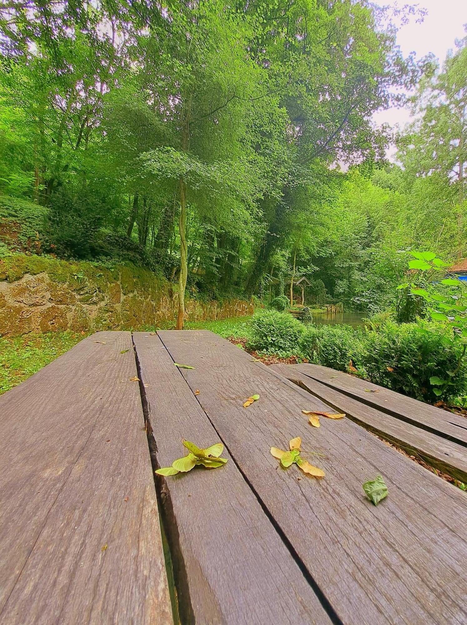 Villa Etno-Kuca "Leka" Klisura Despotovac Esterno foto