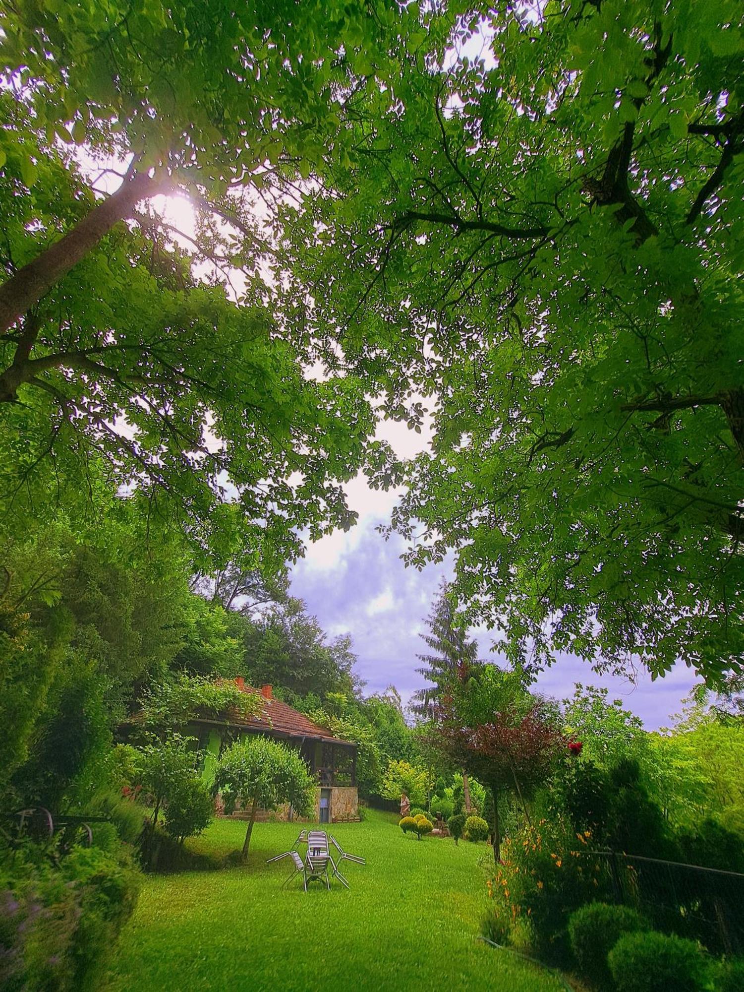 Villa Etno-Kuca "Leka" Klisura Despotovac Esterno foto