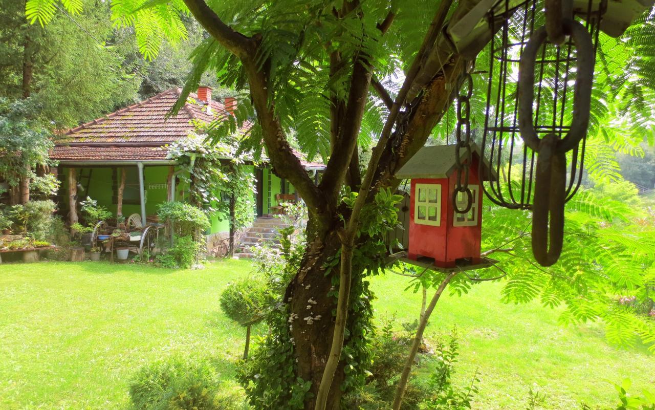 Villa Etno-Kuca "Leka" Klisura Despotovac Esterno foto