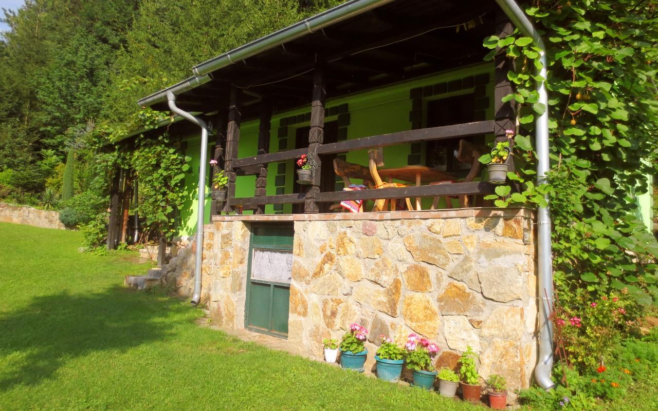 Villa Etno-Kuca "Leka" Klisura Despotovac Esterno foto